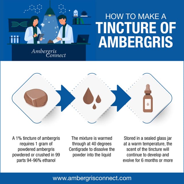 How To Make A Tincture of Ambergris | PDF