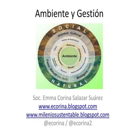 Ambiente y Gestión -borrador-