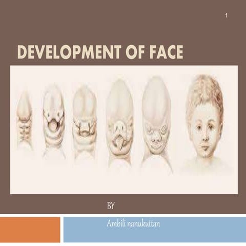 Ambili face development | PPTX