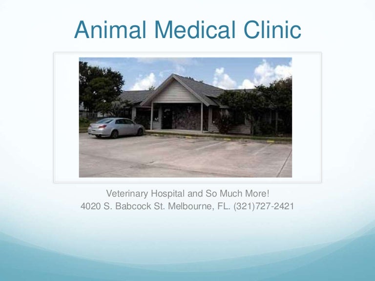 Animal Medical Clinic Services