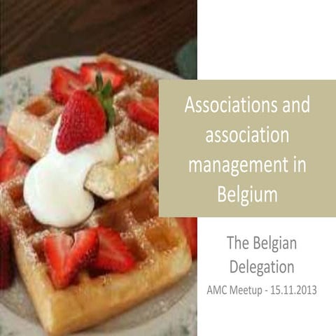Associations and association management in Belgium (11/2013)