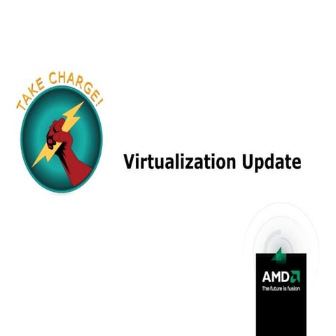AMD Virtualization -- Take Charge