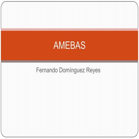 Amebas | PPTX