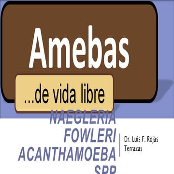 Amebas de vida libre