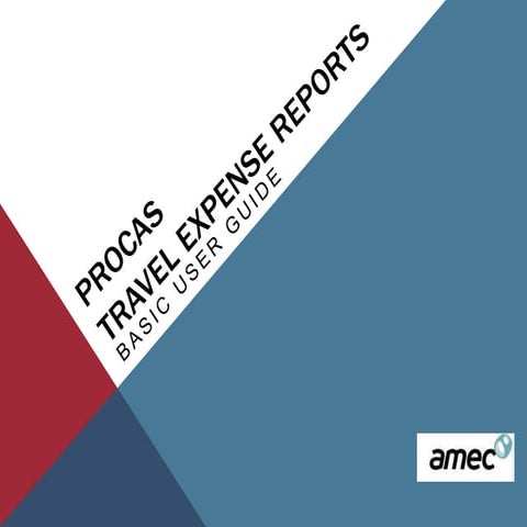 Amec travel expense user guide v1 3 (3)