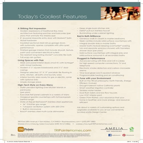 Amelia features sheet 