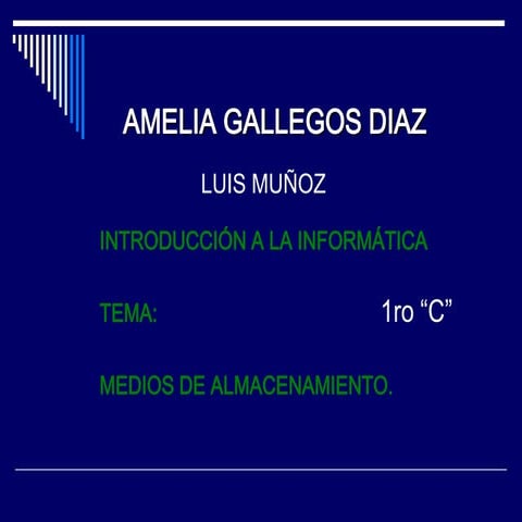 Amelia gallegos diaz