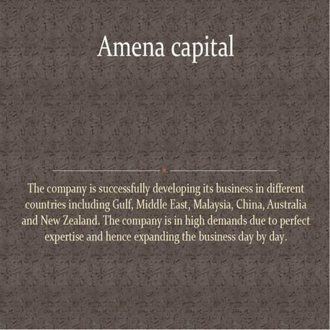 Amena Capital Robert | PPTX