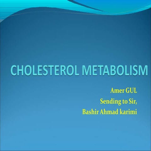 Amer cholesterol syn