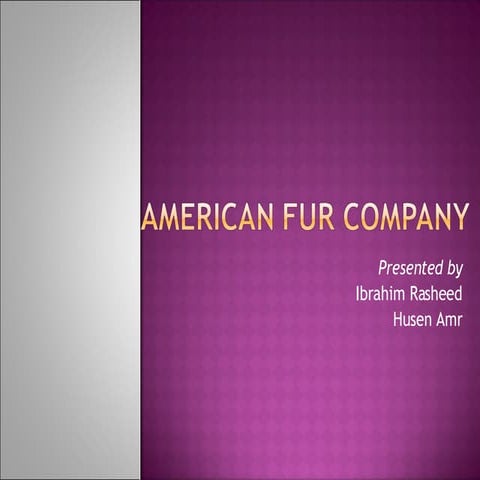 American Fur Company