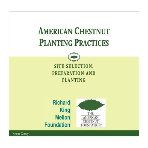 American Chestnut Planting Practices | PDF