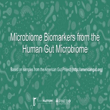 American gut microbiome-2