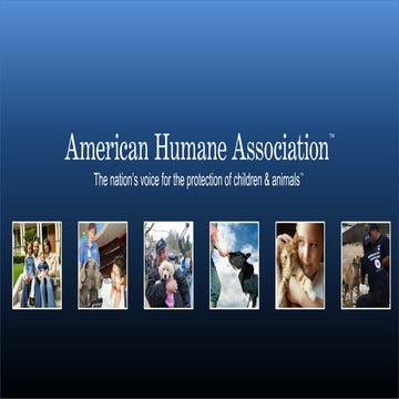 Animal Welfare | PPTX