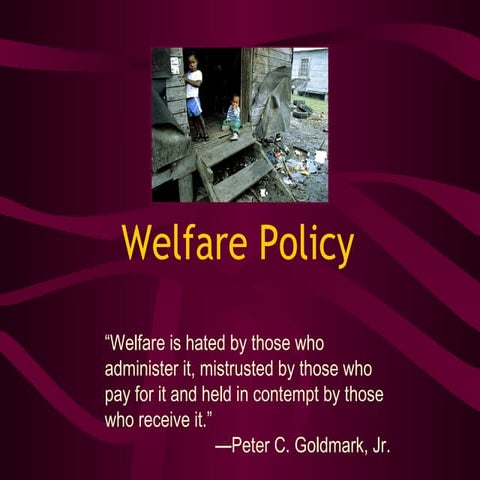 American social protection and welfare 2016