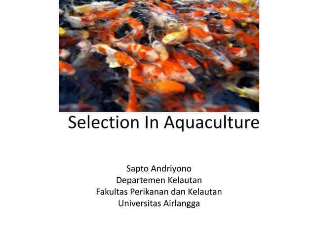 Illustration of Importance Of Aquarium Breeder Selection Criteria