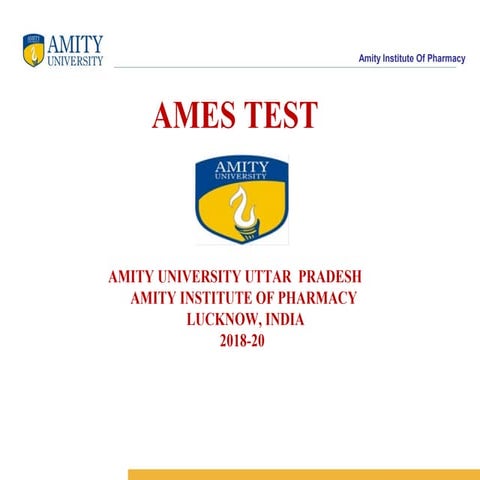 Ames test   