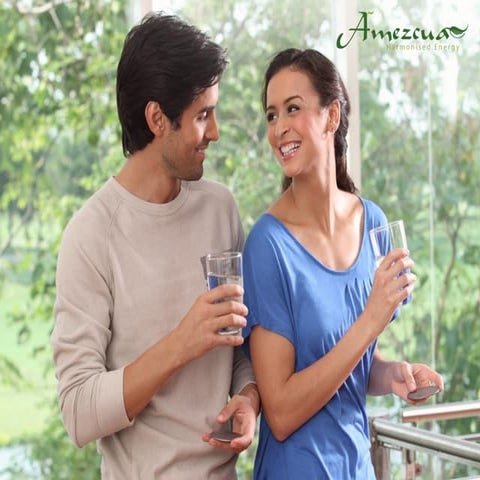 Amezcua  Harmonised  Energy  Training  Presentation  Q N E T