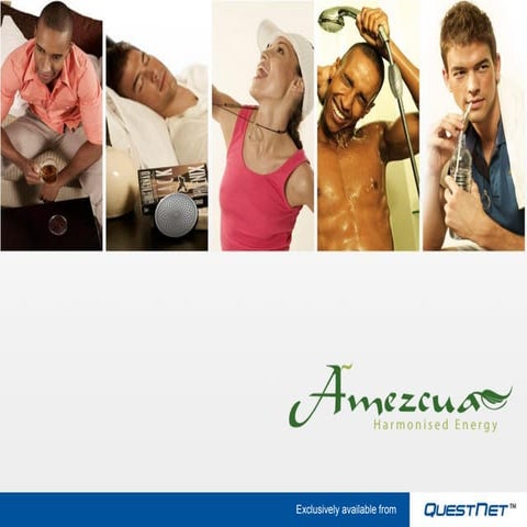 Amezcua Harmonised Energy Presentation Jan10