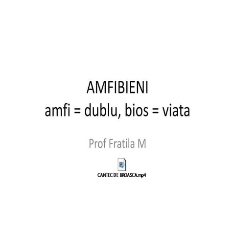 Amfibieni