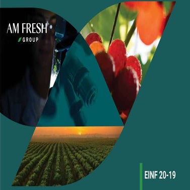 AM+FRESH+PITCH+DECK+File.pdf