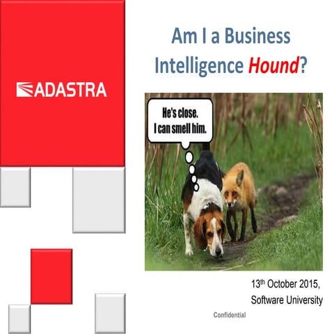 Am I a Business Intelligence Hound?