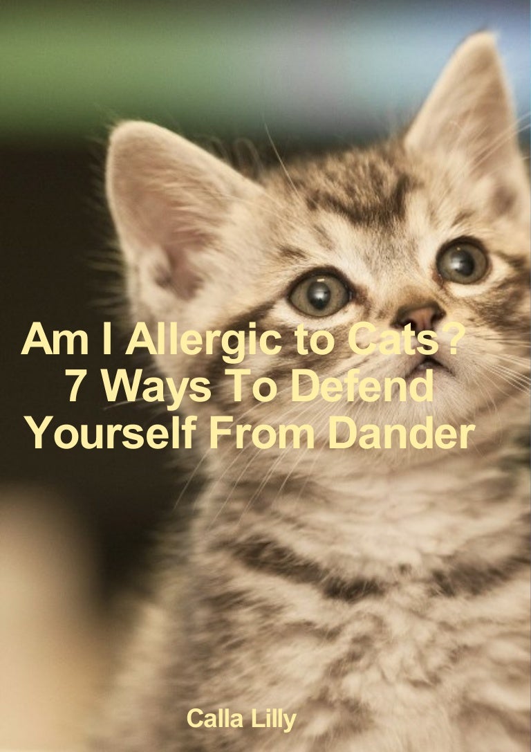 Am I Allergic to Cats?