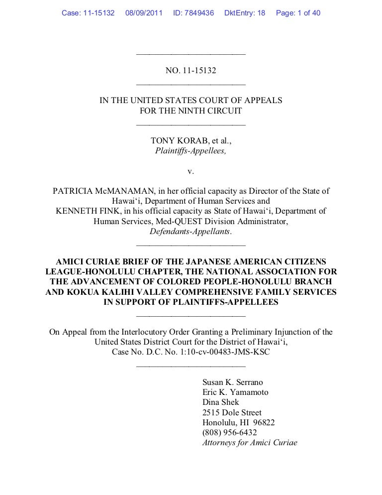 Amicus brief