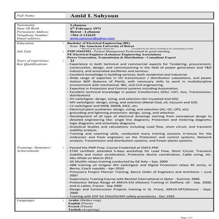 Amid sahyoun cv(updated 2016)