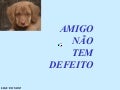 Amigonaotemdefeito 1