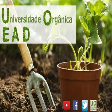  Aprendar a identificar os amigos naturais do agricultor agroecológico