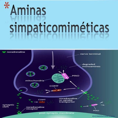 Aminas simpaticomimeticas | PPTX