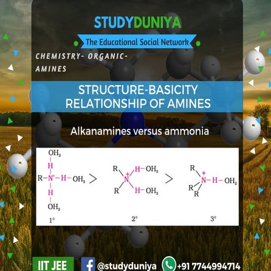 Amines & Diazonium Salts | PDF
