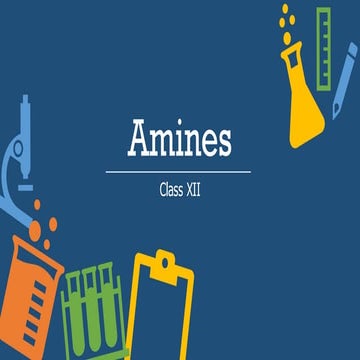 amines.pdf class xii Ncert CBSE aromatic and aliphatic amines