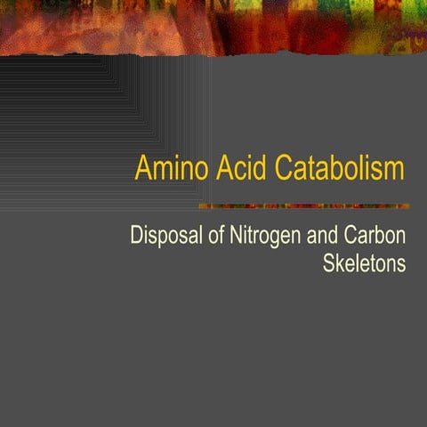 Amino Acid Catabolism 2