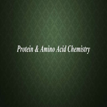 Amino Acid.pptx