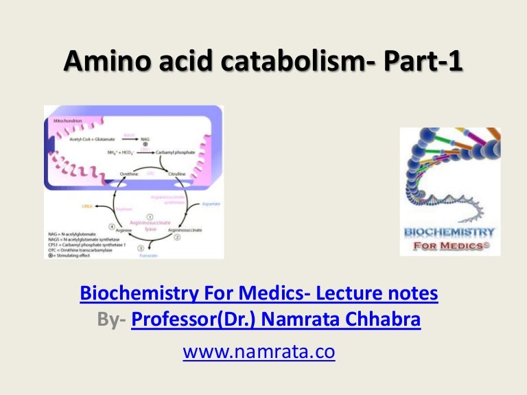 Amino Acid Catabolism- Part-1 Amino Acid Catabolism- Part-1