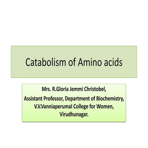 Amino acid catabolism