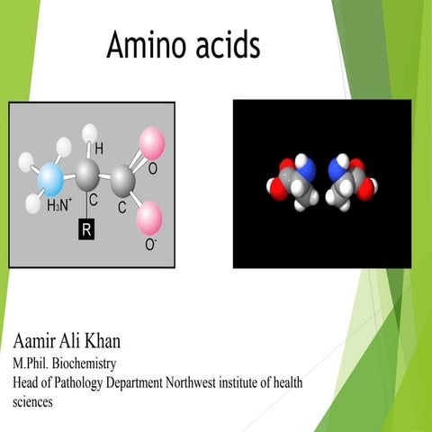 Amino acid classification