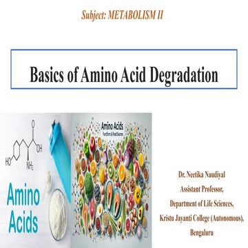 Amino Acid Degradation Basics presentation