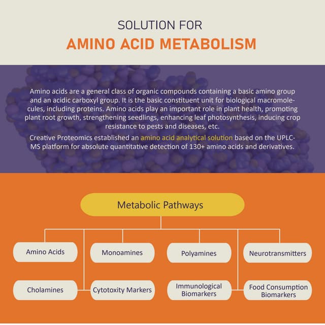 Role Of Vitamins In The Metabolism Of Amino Acids – TUYMCH