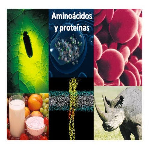 AMINOÁCIDOS Y PROTEÍNAS