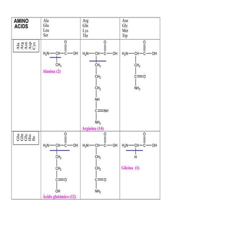 Amino acidos