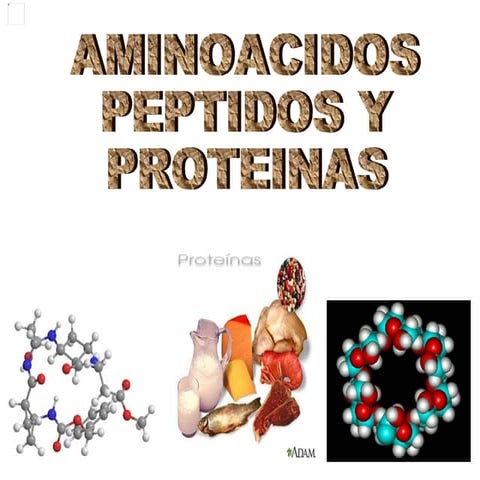 Aminoacidos peptidos y_proteinas