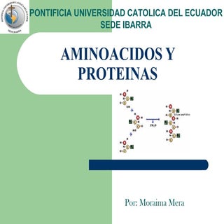 Aminoacidos y proteinas