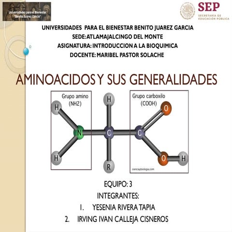 AMINOACIDOS Y SUS GENERALIDADESssssssssssssssssssssssssssssssssssssss.pptx