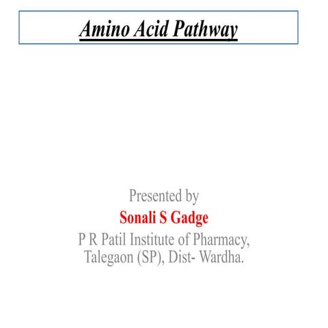 Amino acid pathway
