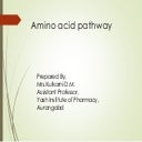Amino acid pathway