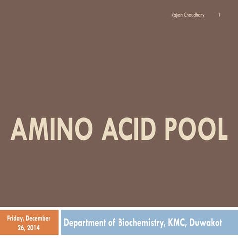 Amino acid pool