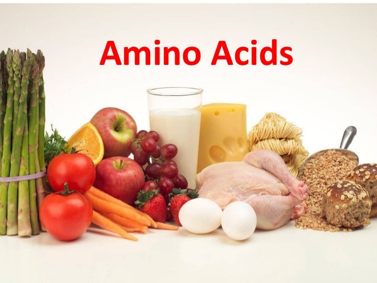 Amino acid ppt
