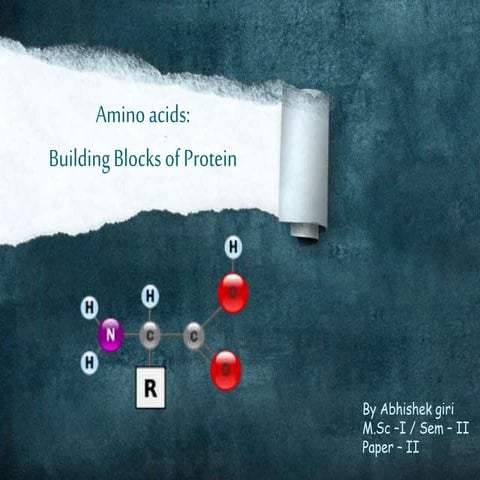 Amino acids- the building blocks of proteins